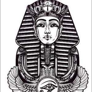 Meet your Posher, Bradley